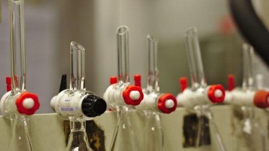 Photo 1562411052 a9fe410b5a9c