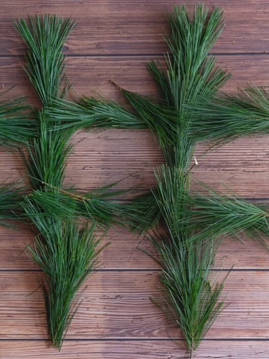 Photo 1608111283021 bc3345c5ce51