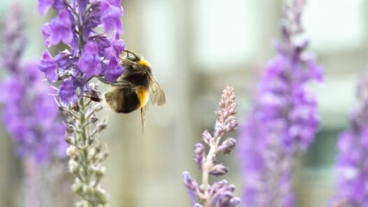 Photo 1626174630226 0a4c5f470262