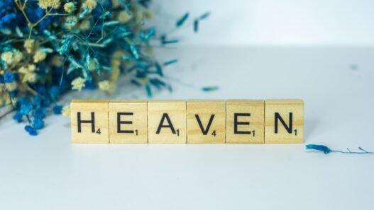 Photo 1638866412968 16cc4ad6ce26