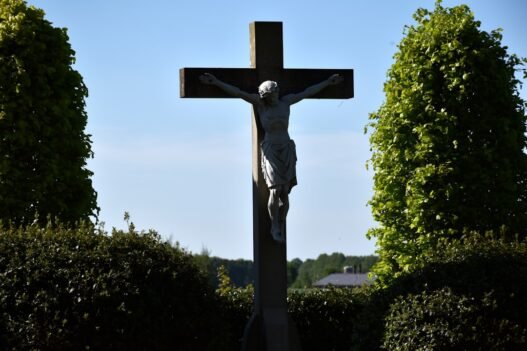 Photo 1756043571550 481b1554f802