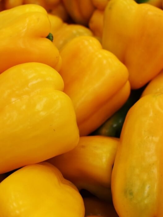 Photo 1757332334664 83bff99e7a43