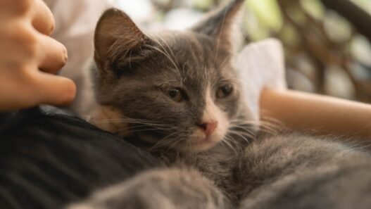 Photo 1759156232578 31d0fb5ab1aa