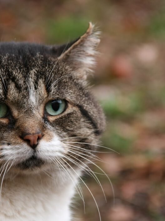 Photo 1761575048407 0bd50f6412f5