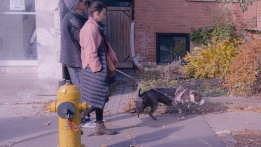 Photo 1762652847394 195008e4df18