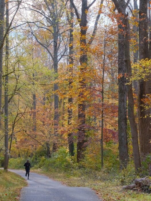 Photo 1763437542624 0a4d4bc96c4a