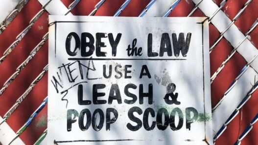 Photo 1552748104 ad60d45b178b