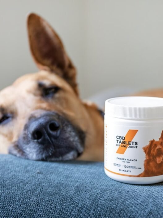 Photo 1629225330351 bfb0a1f2a3af