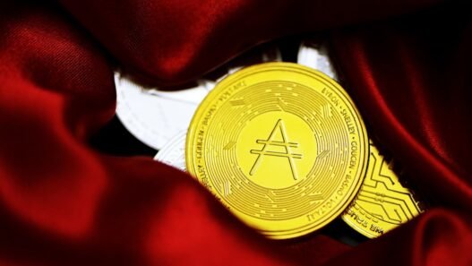 Photo 1640329353115 3f66d854da9c