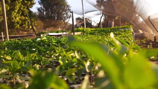 Photo 1661328992824 1c1920893d09