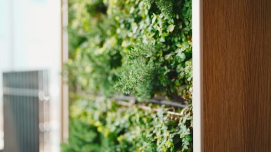 Photo 1743148509752 9ea6072ea35f