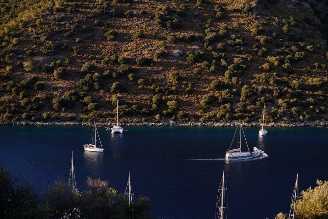 Photo 1743799352025 0f455aa3ebfc