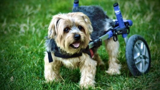 Photo 1758406681488 ada033b6b728