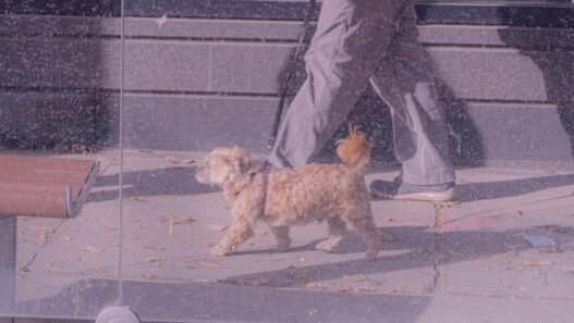 Photo 1762652847534 375deedbb21a