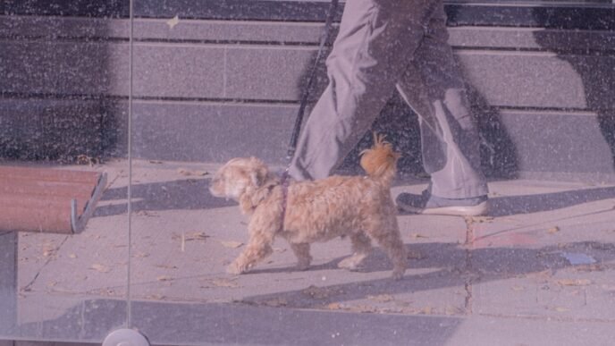 Photo 1762652847534 375deedbb21a