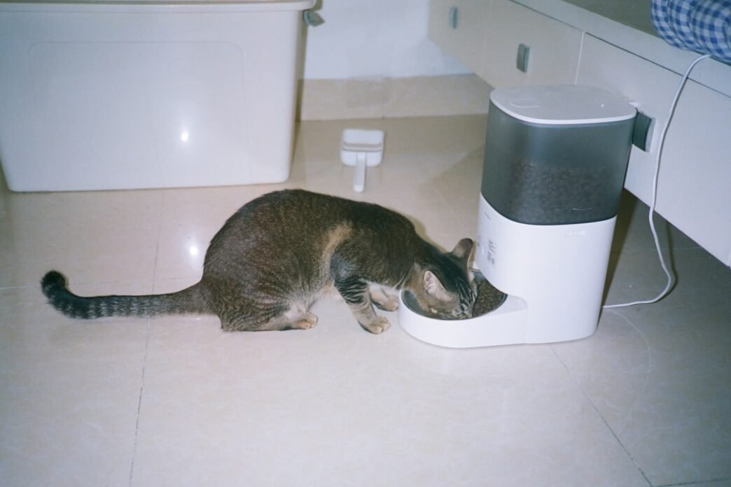 Photo 1765110278433 7b0d294a1104